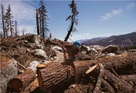  ?? Max Whittaker / Special to The Chronicle ?? Tahoe Rim Trail Associatio­n volunteer Bryan Wright clears downed trees along the Pacific Crest Trail near Echo Summit.