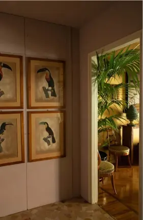  ??  ?? DANS UN COULOIR conduisant à la salle à manger et ses palmiers Kentia, une série de tableaux représenta­nt des toucans.
DANS UNE DES CHAMBRES À COUCHER, les rayures murales en deux tons de paille sont couronnées d’un lambrequin en trompe-l’oeil. Le tableau et le siège ont été chinés.
DANS LA CHAMBRE, la tête de lit dessinée par Nicolò Castellini Baldissera est tapissée d’un tissu en lin (Osborne & Little).
Le lit est recouvert d’un suzani en soie et velours. À gauche, une lampe Tizio de Richard Sapper. Une collection de tableaux et de souvenirs orne le mur bleu de Prusse.