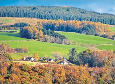  ?? Picture: Getty Images. ?? Trees benefit farmers in many ways. Now experts are calling on the industry to plant more.