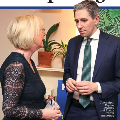  ?? ?? Campaign: Regina Doherty and Simon Harris yesterday