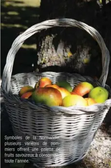  ??  ?? Symboles de la Normandie, plusieurs variétés de pommiers offrent une palette de fruits savoureux à consommer toute l'année.