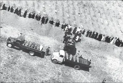  ??  ?? The 1960 Sharpevill­e massacre burial, lorries transporti­ng coffins to the graves of the victims.