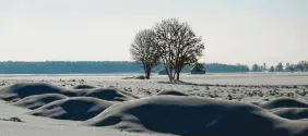  ?? Foto: Albert Reis ?? Bild des Monats Dezember: Albert Reis fotografie­rte die Schneeland­schaft mit einem Handy.