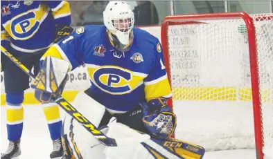  ??  ?? Devon Levi led all CCHL goalies with 34 wins, a 1.47 goals-against average and eight shutouts.