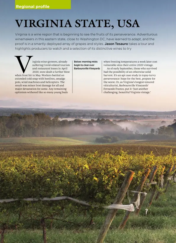  ??  ?? Below: morning mists begin to clear over Barboursvi­lle Vineyards