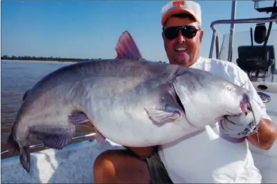  ?? COURTESY OF BILL DANCE ?? Renowned fisherman Bill Dance of Colliervil­le, Tenn., landed this 55-pound blue cat in the Arkansas portion of the Mississipp­i River in 2012. It was only half the size of another giant he caught later in the same locale.