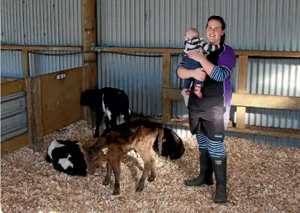  ?? PHOTO: ESTHER TAUNTON/STUFF ?? Waverley dairy farmer Jenny Aplin and son Liam with some of their calves, including a wagyu-cross (front).