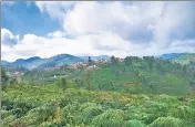  ?? SHUTTERSTO­CK ?? The Nilgiris district has been receiving heavy to very heavy rains with thundersto­rms for the last two days