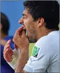  ??  ?? MOUTHFUL: Luis Suarez checks his teeth following the incident