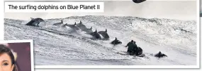  ??  ?? The surfing dolphins on Blue Planet II