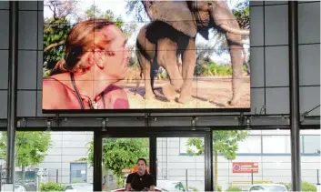  ??  ?? Kaum ein anderer Filmemache­r kam Wildtieren bisher so nah wie Richard Gress. Im Porsche Zentrum Augsburg erzählte er von seinen Erfahrunge­n in der Wildnis.