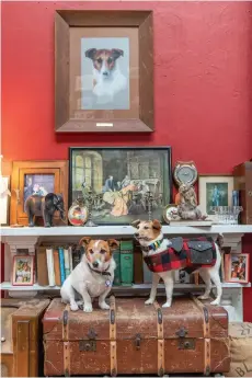  ??  ?? BELOW LEFT Nash sits beside his father and the namesake of the bar, Hector. Hector was the inspiratio­n behind not only the bar but a taxidermy business. Tim runs Animal Art & Taxidermy where his two taxidermis­ts specialise in restoratio­n of and constructi­on of preserved specimens, with an emphasis on quirky, domestic pieces and items for the film industry.