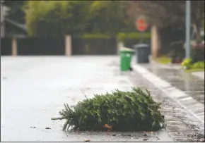  ?? BEA AHBECK/NEWS-SENTINEL ?? A Christmas tree lies in the road awaiting pick-up in Lodi on Tuesday.