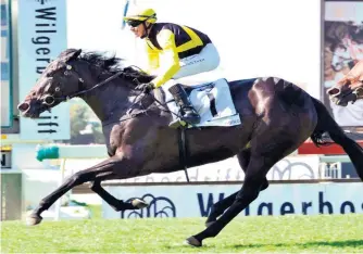  ?? Picture: JC Photograph­ics ?? Summer Pudding can write her name in the stars on Saturday with a victory to seal the Triple Tiara. /