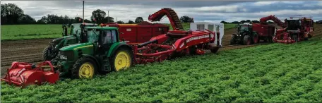  ??  ?? Shot 1: Donohoe’s of Curracloe, Co. Wexford lifting their 2020 crop of new potatoes.