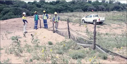  ?? PICTURES: COLLEEN DARDAGAN ?? Field workers check the shade cloth that is used to protect germinatin­g seeds at a rehabilita­tion site behind the mining operation at the RBM mine ouside Richards Bay.