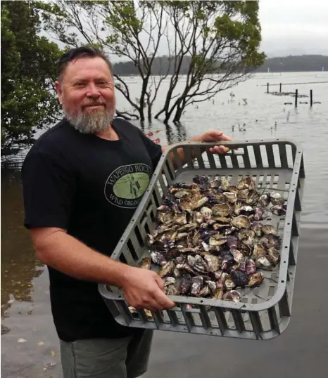  ?? PHOTOS: SARAH HUDSON ?? SEA HAUL: Shane Buckley of Wapengo Rocks Wild Organic Oysters.