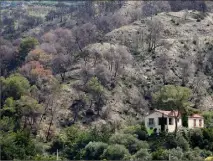  ??  ?? Sur les flancs de Castagnier­s, la végétation peine à reprendre ses droits un an après le sinistre.