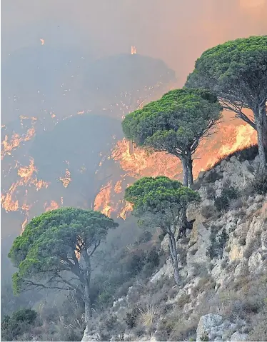  ?? AFP ?? Feuer in den Wäldern der Region Messina im Nordosten Siziliens. In vielen Teilen Italiens brennt es seit Jänner.