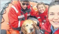  ?? TWITTER/ CANADIAN COAST GUARD ?? The retriever was happy to be out of the water by the time the rescuers came.