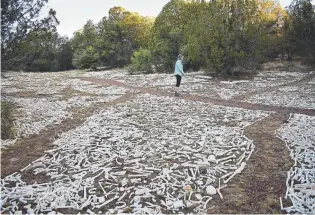  ??  ?? The One Million Bones exhibit fills a high meadow behind Bear Mountain Lodge.