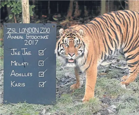  ??  ?? ALL creatures great and small are being counted by zookeepers at London Zoo as part of its annual stocktake.
Required as part of ZSL London Zoo’s licence, the annual stocktake includes every animal, with all other British zoos required to do the...