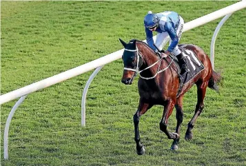  ?? PHOTO: GETTY IMAGES ?? Champion mare Winx is on target to win her third consecutiv­e Cox Plate next month.