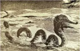  ??  ?? BeLoW: AC Oudemans. LeFT: A sea serpent from one of his books.