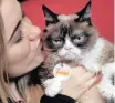  ?? News Agency (ANA Archives) ?? GRUMPY Cat with Tabatha Bundesen.
|
Mining magnate aims to be kingmaker after Australian election