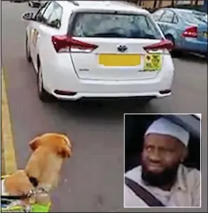  ??  ?? Stranded: Labrador Carlo watches the cab driven by Kassim Abandi, inset