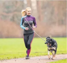  ?? FOTO: MARKUS HIBBELER/DPA ?? Wer mit etwas Planung an die Sache herangeht, hat an gemeinsame­n Joggingrun­den mit seinem Hund viel Freude.