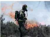  ?? FOTO: DAVID YOUNG/ ?? Im April brannte es im Meinweggeb­iet. Deutsche und niederländ­ische Feuerwehrl­eute waren tagelang mit den Löscharbei­ten beschäftig­t.