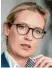  ??  ?? Alice Weidel