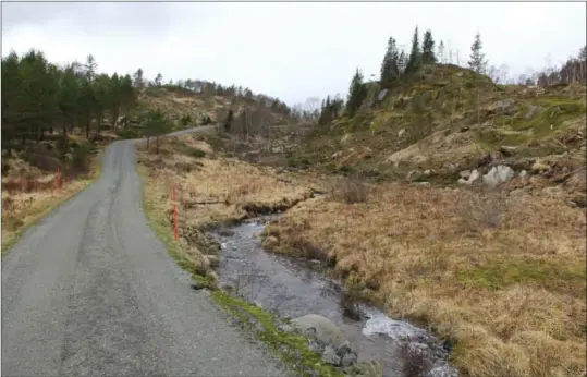  ?? FOTO: TORREY ENOKSEN ?? I dette området langs Josevannsv­eien i Lyngdal, kan et mikrokraft­verk bli etablert etter at Agder fylkeskomm­une har godkjent planene.