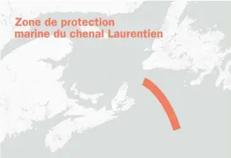  ?? LE DEVOIR ?? La future zone de protection marine du chenal Laurentien, d’une superficie de 11 600 km2, est située au sud de l’île de Terre-Neuve, à l’entrée du golfe du Saint-Laurent.