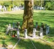  ?? Archivfoto: Protestant­ischer Friedhof ?? Im Bereich für Baumbestat­tungen gibt es Ärger.