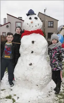  ?? Pic: ?? Luke McGrath, Scott McGrath and Kayleigh McLoughlin in Cartron Estate. Donal Hackett