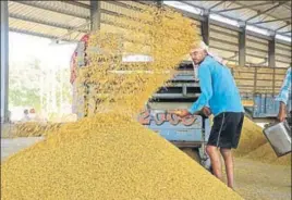  ??  ?? ■ Farmers claim they are already facing a loss between ₹10,000 and ₹15,000 per acre due to the heavy rains that lashed the state in September. HT PHOTO