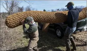  ?? BEN HASTY — MEDIANEWS GROUP ?? Trout Unlimited members Rick Moatz, left, and Jim Coffey move a coir log into position along Valley Run Creek in Washington Township.