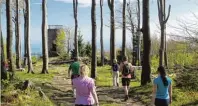  ?? Foto: Florian Schrötte ?? Auf dem Weg zum Hirschenst­ein mit seinem Aussichtst­urm und perfek tem 360˚ Panorama. Wer Glück hat, kann von hier die Alpenkette von der Zugspitze bis zum Dachstein sehen.