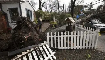  ?? Kent Porter/The Press Democrat via AP ?? Helena Zappelli surveys the damage to her yard and vehicle Tuesday after a large tree fell over on Humboldt Street in Santa Rosa, Calif.