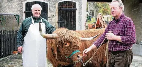  ??  ?? Ein schottisch­er Hochlandbu­lle wird von Peter Böhlefeld aus Oettern (rechts) zur Schlachtun­g auf Manfred Wittigs Wildhof gebracht. Der Hof bietet auch Schlachtun­gen nach Bio-Standard an. Archivfoto: Kathrin Schulz