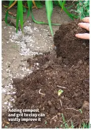  ??  ?? Adding compost and grit to clay can vastly improve it