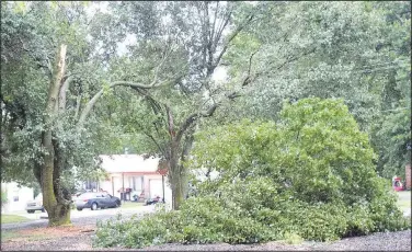  ?? (NWA Democrat-Gazette/Mike Eckels) ?? A large branch from a Bradford pear tree (above photo) near Decatur’s City Hall broke off during a powerful thundersto­rm that swept through Northwest Arkansas on July 9. The strong storm produced straight-line wind in excess of 40 mph and caused widespread tree damage throughout Decatur. (Right photo) Water floods the low lying ground at Oak Park Addition in eastern Decatur.