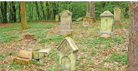  ?? FOTO: RUPERT SCHREIBER/ LANDESDENK­MALAMT ?? In Gonnesweil­er am Bostalsee haben Unbekannte den jüdischen Friedhof geschändet.