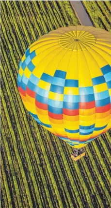  ??  ?? Ein sehr spezielles Erlebnis: mit dem Ballon über die Weinberge des Sonoma County zu schweben.