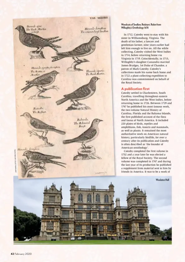  ??  ?? T H E PI C T U R E A RT C O LL E C TI O N / A L M Y
Woodcuts of Swallow, Redstart, Robin from Willughby’s Ornitholog­y 1678
Woolaton Hall