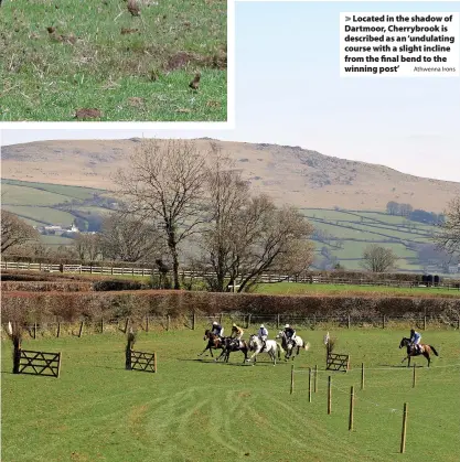  ?? Athwenna Irons ?? > Located in the shadow of Dartmoor, Cherrybroo­k is described as an ‘undulating course with a slight incline from the final bend to the winning post’