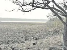  ??  ?? Parte de los humedales ubicados dentro de la reserva Tatí Yupí resultaron afectados por el fuego.