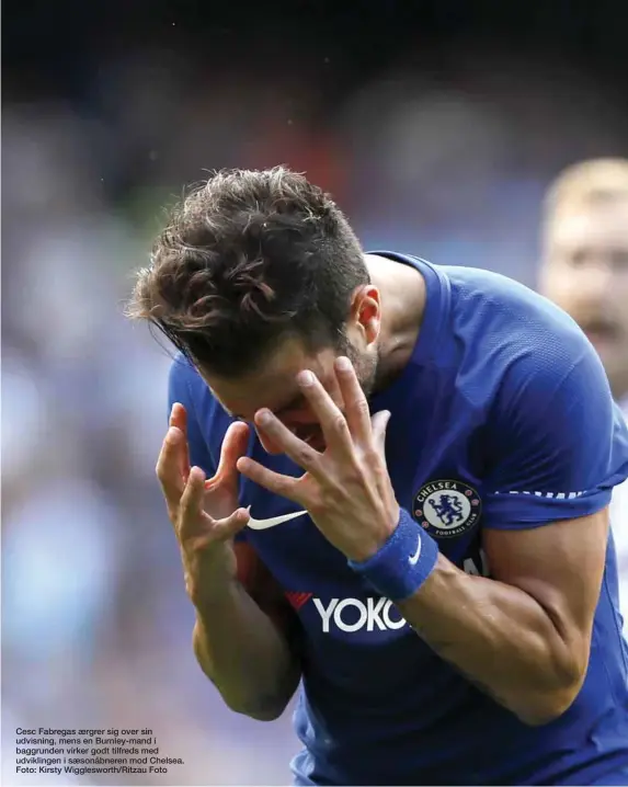  ??  ?? Cesc Fabregas aergrer sig over sin udvisning, mens en Burnley-mand i baggrunden virker godt tilfreds med udviklinge­n i saesonåbne­ren mod Chelsea. Foto: Kirsty Wiggleswor­th/Ritzau Foto